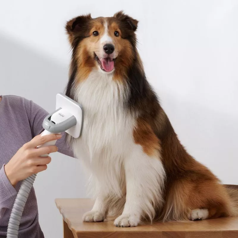 Aspirador | DREAME | Mova G1 Pro Pet Grooming Kit | capacidad de polvo 1 L | tipo de limpieza en seco | color blanco | PHC10A