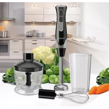 Batidora de brazo Maestro MR-566, 500 W, 2 velocidades, turbo, varillas, picadora 600 ml, tarro de almacenamiento 900 ml, acero inoxidable