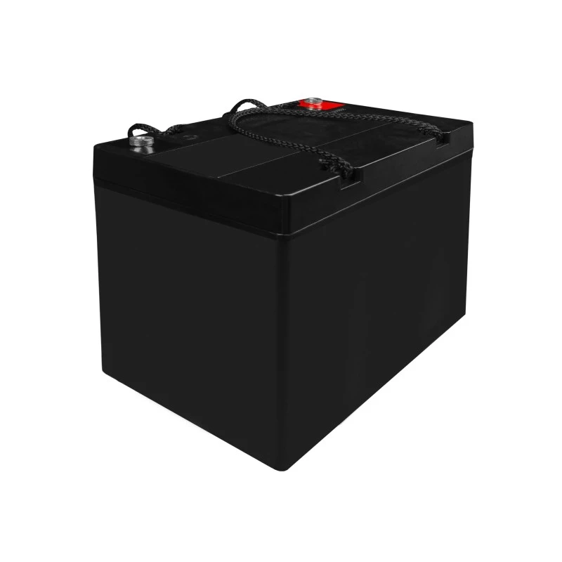 Batería AGM VRLA 12V 55Ah IP54