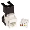 Jack de conexión Ethernet Cat6 sin apantallar Lanview LVN128143 — soporte de módulo Keystone RJ45