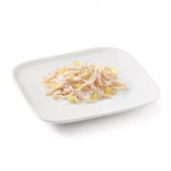 SCHESIR pollo con piña en gelatina - Comida húmeda para perros - 150 g