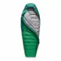 Producto Sea To Summit verde