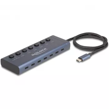 DeLOCK 63410 Hub USB 3.2 Gen 1 Type-C 5000 Mbit/s azul