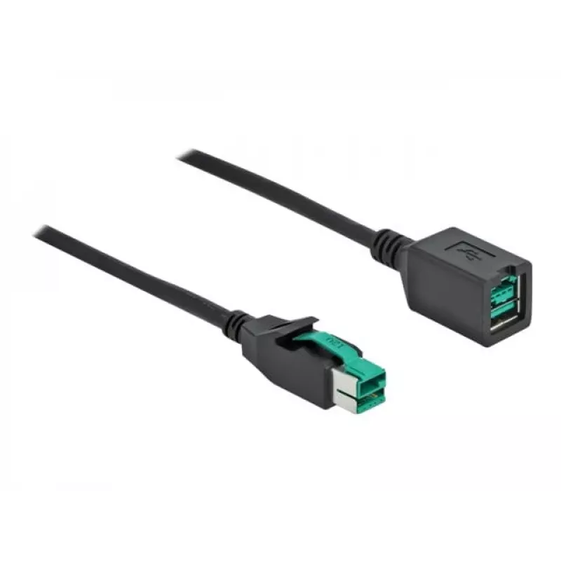 Cable de extensión USB con alimentación DeLOCK 85980 12 V 1 m