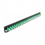 Placa frontal para caja de empalmes DeLOCK 19 pulgadas 24 puertos LC dúplex verde