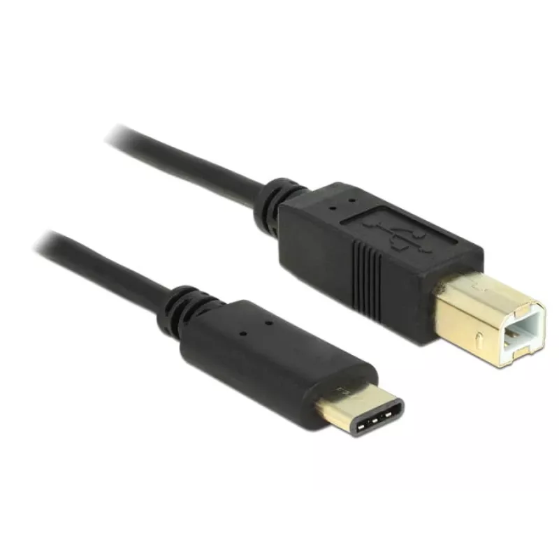 Cable USB DeLOCK 2 m USB2.0-C/USB2.0-B