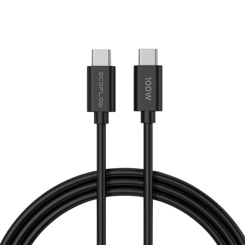 Cargador ECOFLOW 65W