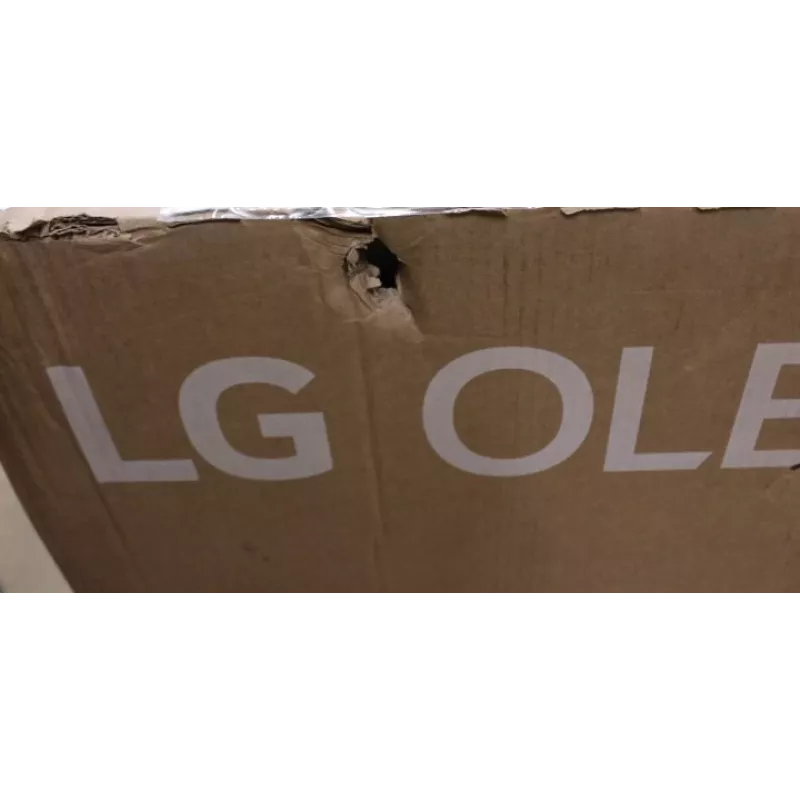 TV OLED LG OLED55G51LW 55