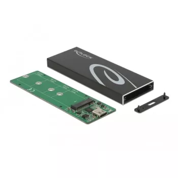 Carcasa SSD DeLOCK 42003 carcasa externa para SSD M.2 SATA con USB Type-C