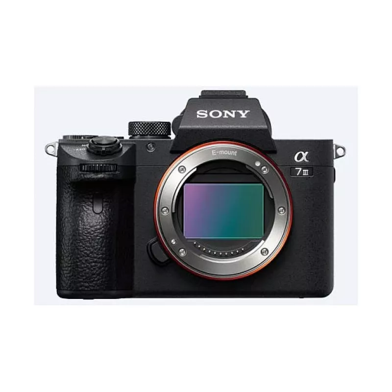 Sony α 7 III + 28–70 mm MILC 24,2 MP CMOS 6000 x 4000 píxeles negro