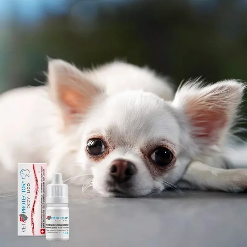 Gotas oftálmicas JM Sante Vet Protector Ligo 3 ml para perros y gatos — lavado ocular en queratitis, retinitis, traumatismos oculares