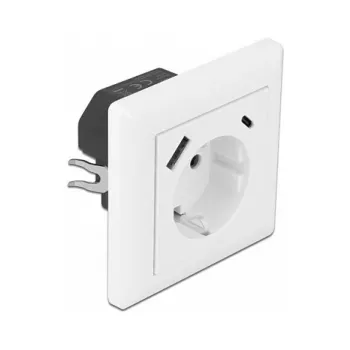 DeLOCK 11489 Toma CEE 7/3 + USB blanco 250V 16A