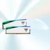 DIMM 48 GB DDR5-6000 (2x 24 GB) Dual-Kit, memoria blanca, PVER548G60C42KW, Viper Elite 5 RGB, INTEL XMP, AMD EXPO