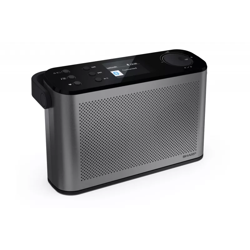 Radio estéreo Sharp OSAKA DR-P540(GY)