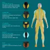 Pistola de masaje de percusión HoMedics PGM-150-EU — dispositivo portátil de terapia por percusión