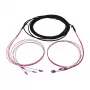 Synergy 21 Cable de fibra óptica Cable trunk U-DQ ZN BH 4G 50/125 LC/LC OM4 80 m bobina - Cable - Fibra multimodo
