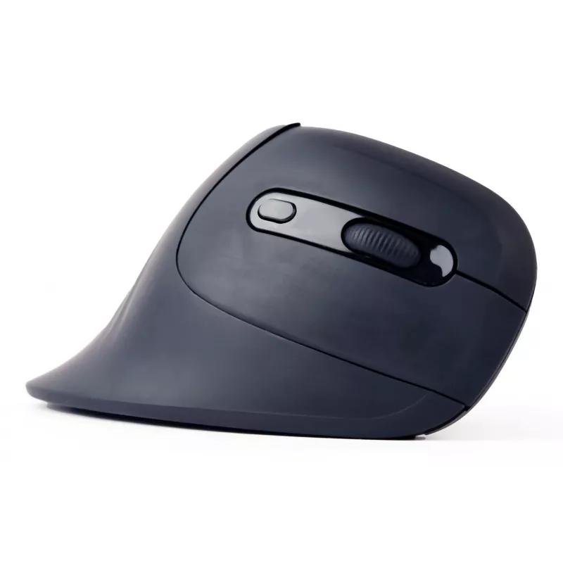 Ratón Gembird MUSW-ERGO-03 hogar diestro RF inalámbrico óptico 1600 DPI