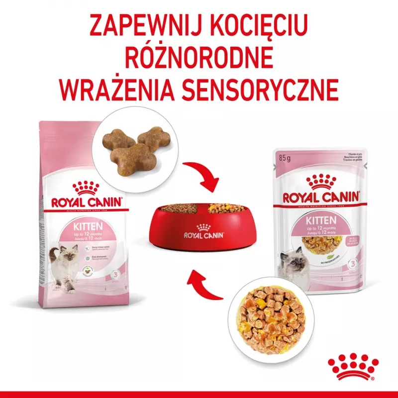 Royal Canin Feline Health Nutrition Kitten Instinctive en gelatina comida húmeda para gatitos, 12 x 85 g