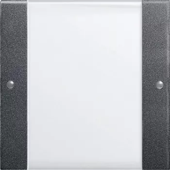 GIRA 213128 Interruptor eléctrico antracita - blanco (213128)