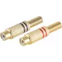 Conector de cable RCA dorado ShiverPeaks BS52021-SET