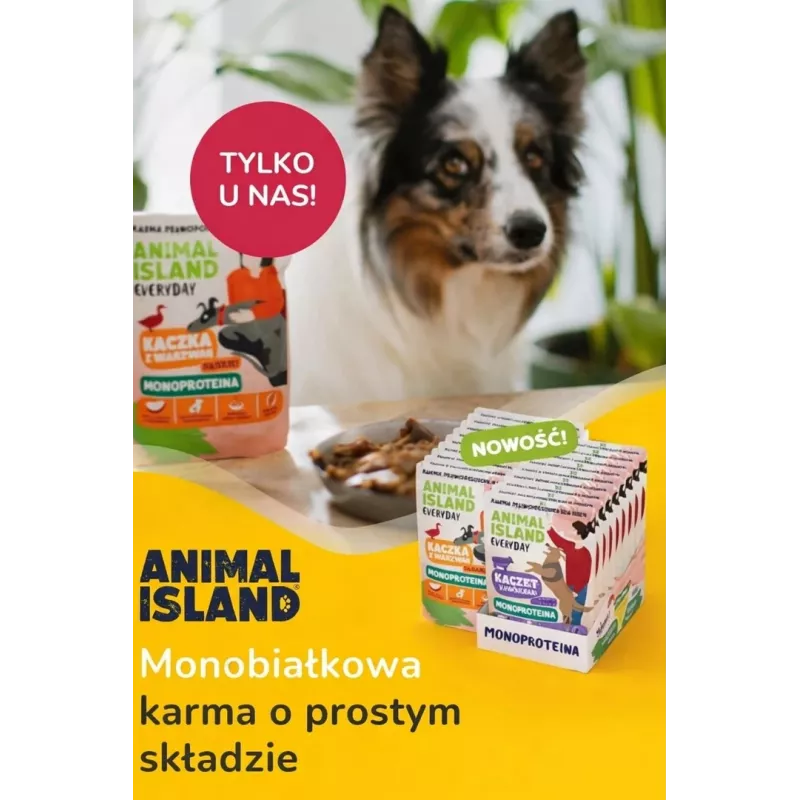 ANIMAL ISLAND Monoproteico ternera/pato/pavo Comida para perros 9×300g