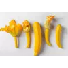 Semillas de hortalizas calabacín dorado Toraf, paquete de 5g