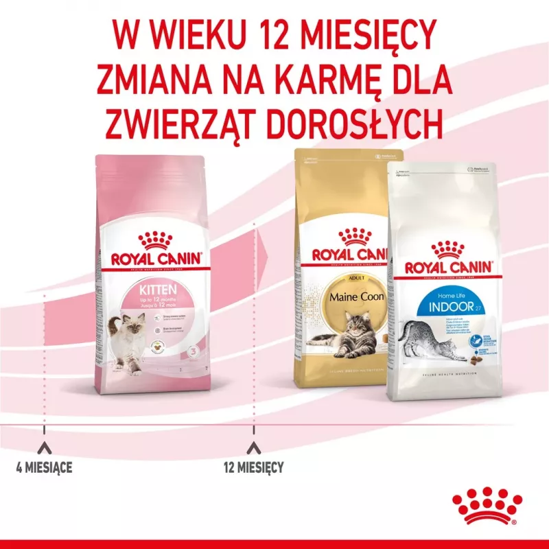 Royal Canin Kitten comida seca para gatos 2 kg