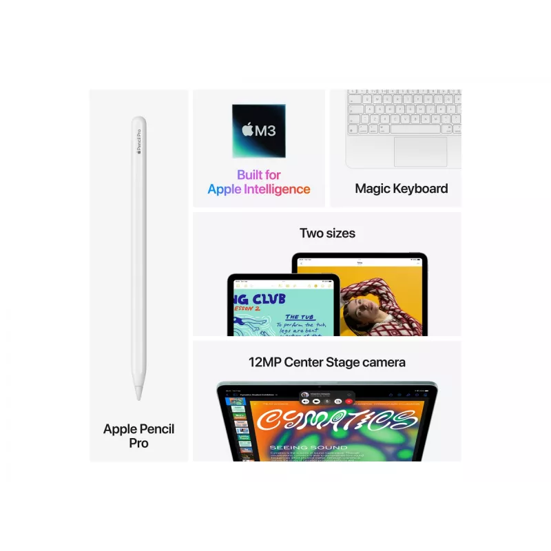 Apple iPad 13