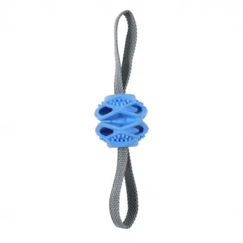 Pelota de juguete para perros ZOLUX TPR Outdoor, azul