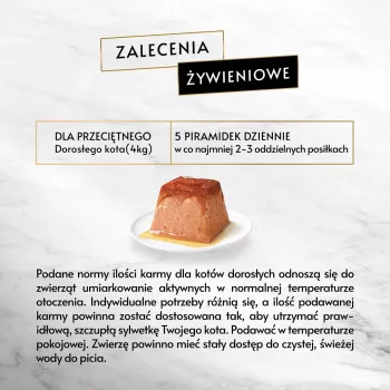 Alimento húmedo para gatos Purina Gourmet Revelations Salmón bolsa 2 x 57 g, gatos adultos, 81 % humedad