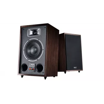 Altavoz de suelo Magnat TRANSPULS 800A 2 vías con cable e inalámbrico 2×60 W, Bluetooth 5.0, HDMI, negro/marrón