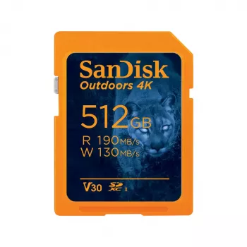 Memoria flash SanDisk 32 GB SDHC Class 10 SDSDXW2-064G-GNCIN