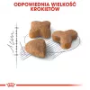Pienso para gatos Royal Canin Sensible 33 Adult, 10 kg — Pollo, 33 % proteínas, apoyo de las vías urinarias