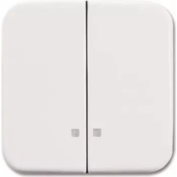 2505 K-214 Tecla basculante blanco alpino (2CKA001731A3994)