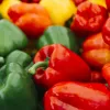 PNOS mezcla de semillas de pimiento dulce, 0,6 g
