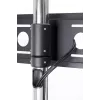Soporte STD01 para pantalla 32-55'' VESA 75x75/600-400'' 80 kg