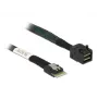 Cable SAS DeLOCK 85081 0,5 m fino SAS SFF-8654 Mini SAS HD SFF-8643