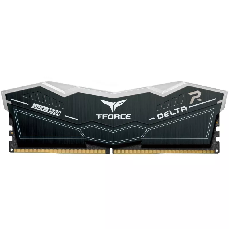 DIMM 32 GB DDR5-6000 (2x 16 GB) kit dual, memoria negra, FF3D532G6000HC30DC01, Delta RGB, INTEL XMP