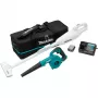 Kit combinado de batería CLX245SAX1, 12 voltios, soplador de hojas azul/negro, batería de litio 2,0 Ah, aspirador de batería y soplador de batería