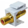 VALUE ROLINE acoplador Keystone RCA apantallado plástico rojo (25.99.8213)