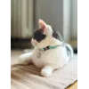 ZOLUX Chatouille azul - collar para gatos