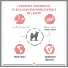 PUPIL Premium All Meat Gold pato - Comida húmeda para perros - 800g