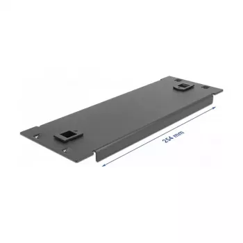 Tapa ciega DeLOCK armario de red de 10