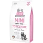 Brit Care Mini Grain Free Yorkshire pienso seco para perros con salmón y atún, 2 kg