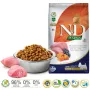 FARMINA N&D Pumpkin Lamb&Blueberry Mini Adult - Pienso para perros - 7 kg