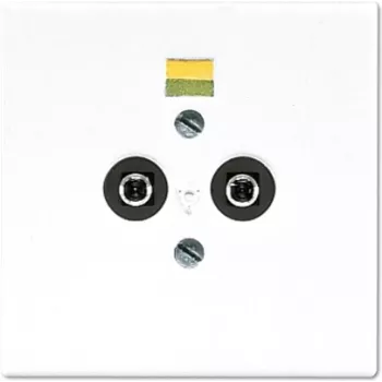 Toma de corriente JUNG LS 965-2 WW