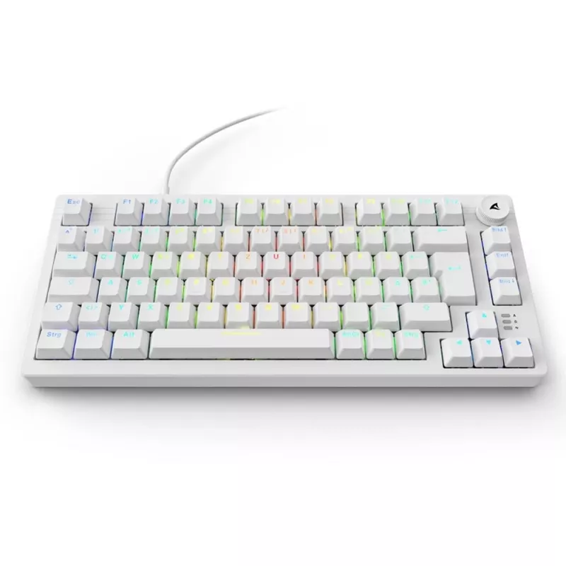 Sharkoon SGK25 75% QWERTZ USB Teclado con cable RGB LED blanco