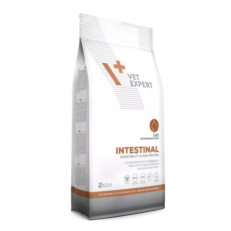 VetExpert Veterinary Diet Intestinal Cat alimento seco para gatos, 2 kg