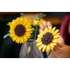 LEGO BOTANICALS 11502 Ramo de girasoles