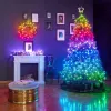 TWINKLY Strings 250 Special Edition (TWS250SPP-BEU) Luces de árbol de Navidad inteligentes 250 LED RGB+W 20 m